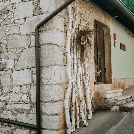 Apartment Zidanica Lackner *