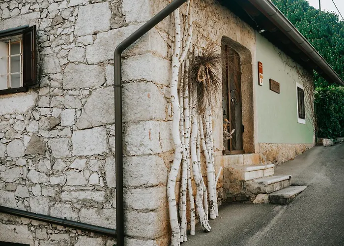 Apartment Zidanica Lackner *